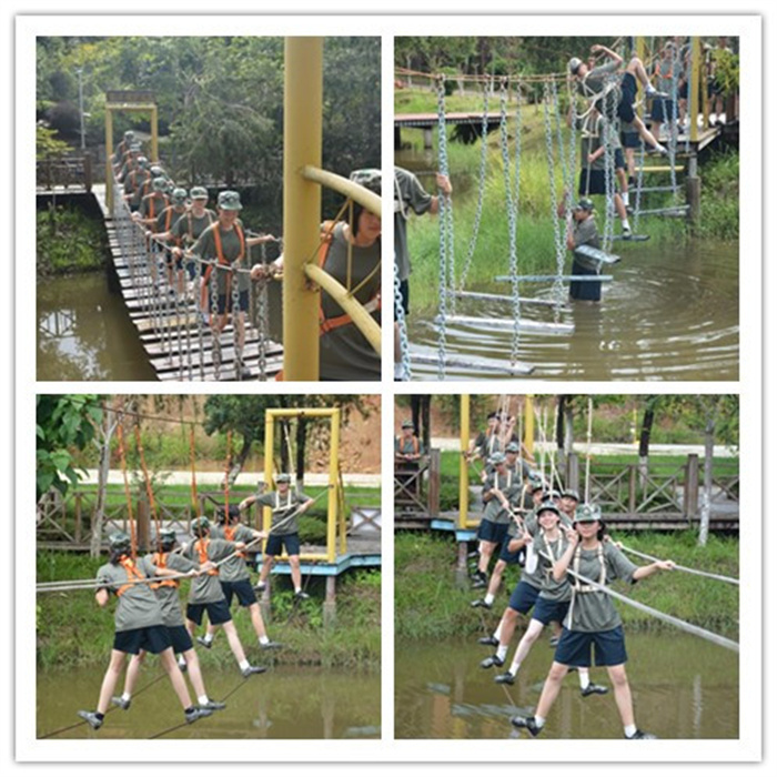 1693821824684871.jpg 3.jpg