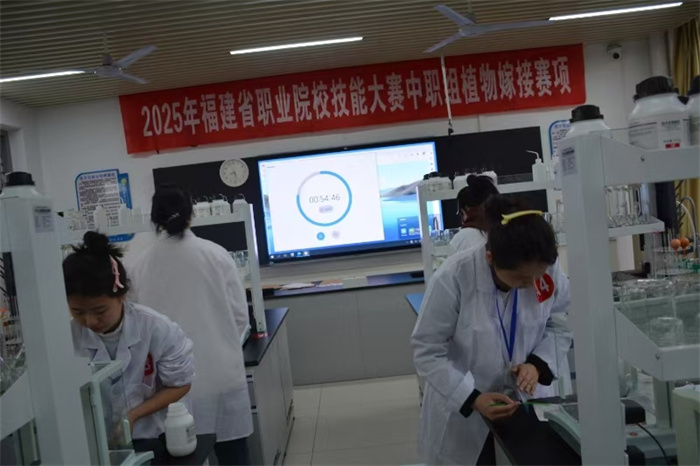 1743467872804536.jpg 比赛2.jpg